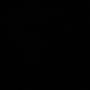 Meet your Posher, Abigail